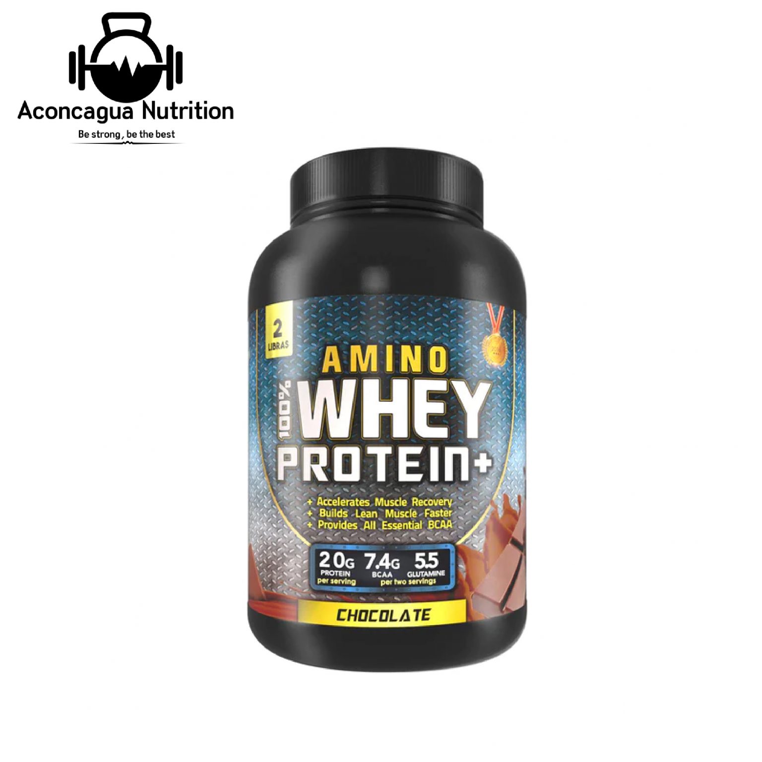 100 AMINO WHEY PROTEIN 2LB FOODTECH Aconcagua Nutrition